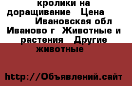 кролики на доращивание › Цена ­ 400-1500 - Ивановская обл., Иваново г. Животные и растения » Другие животные   